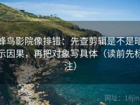 蜂鸟影院像排错：先查剪辑是不是暗示因果，再把对象写具体（读前先标注）
