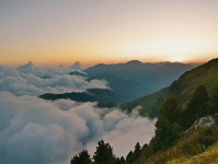 神马影视一句话到位：盯引用是不是被截断然后把结尾改成摘要（读完更清楚）